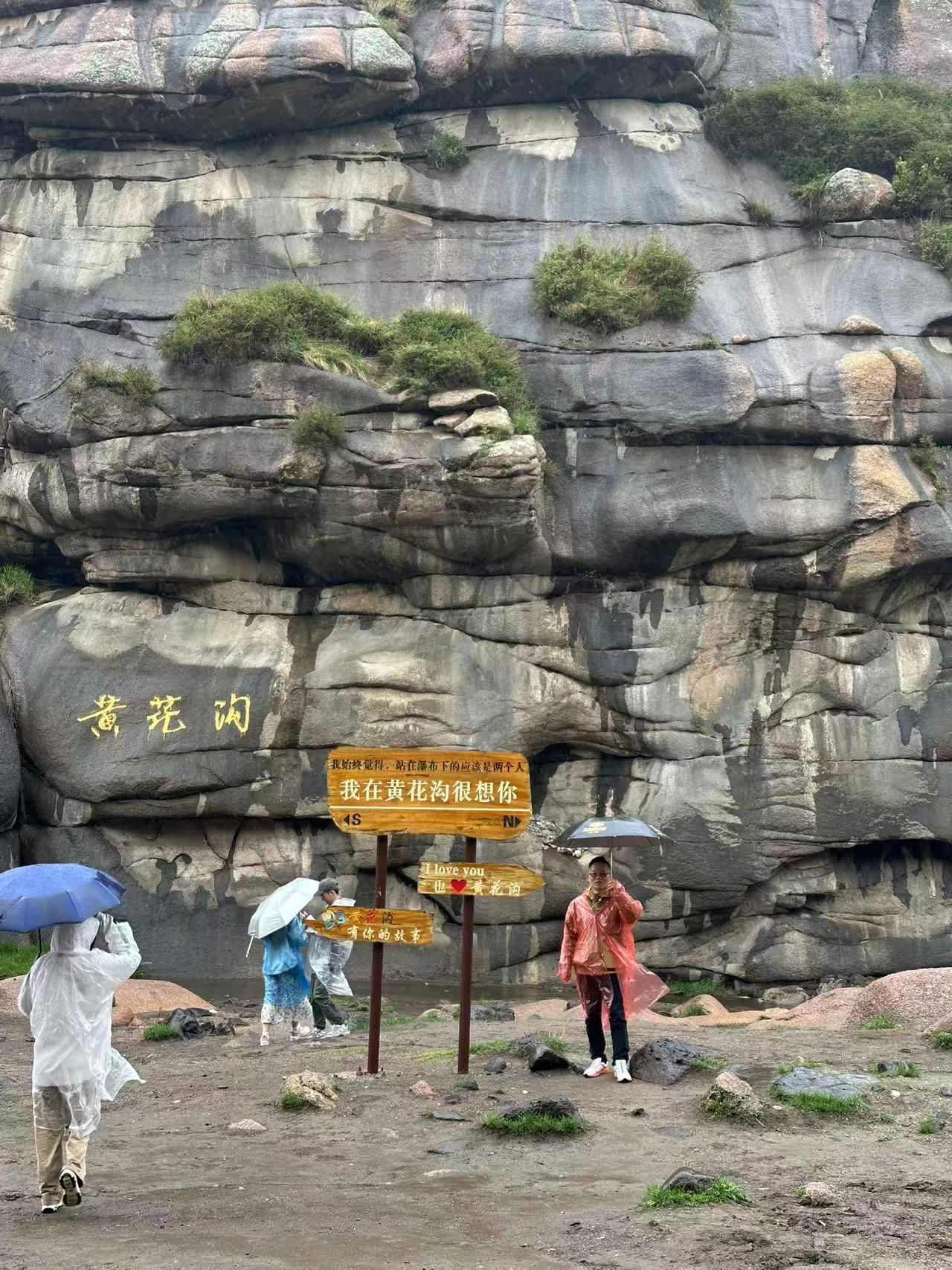 鿴ϸϢ⣺罹ղԭɷ Ķ88